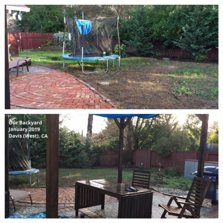 Ginikanan_OurBackyard