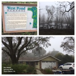 ginikanan_OttowaHome